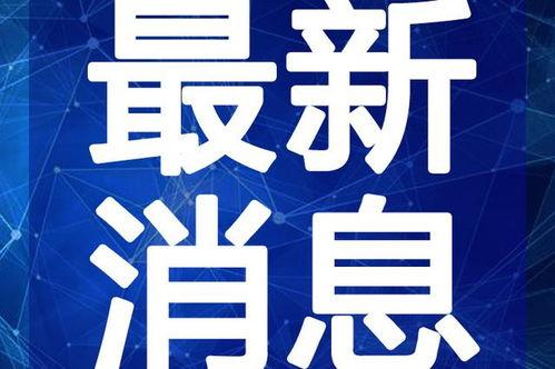 最新白术爆料新闻视频
